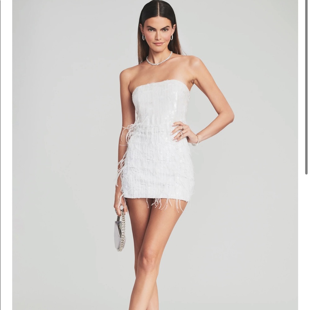 Retrofete Anastasia sequin feather dress